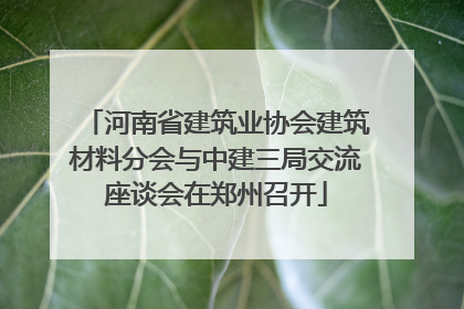 河南省建筑业协会建筑材料分会与中建三局交流座谈会在郑州召开