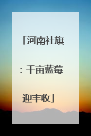 河南社旗：千亩蓝莓迎丰收