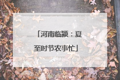 河南临颍：夏至时节农事忙
