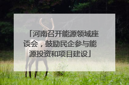 河南召开能源领域座谈会，鼓励民企参与能源投资和项目建设