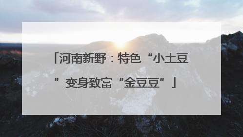 河南新野：特色“小土豆”变身致富“金豆豆”