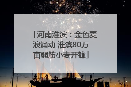河南淮滨：金色麦浪涌动 淮滨80万亩弱筋小麦开镰