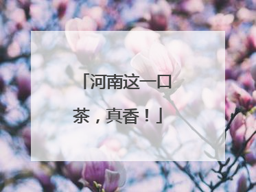 河南这一口茶，真香！