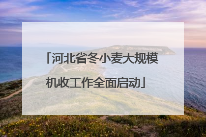 河北省冬小麦大规模机收工作全面启动