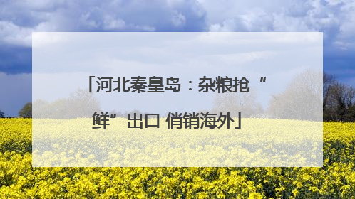 河北秦皇岛：杂粮抢“鲜”出口 俏销海外