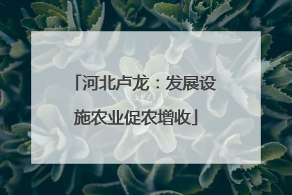 河北卢龙：发展设施农业促农增收