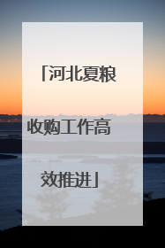 河北夏粮收购工作高效推进
