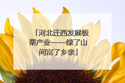 河北迁西发展板栗产业——绿了山间富了乡亲