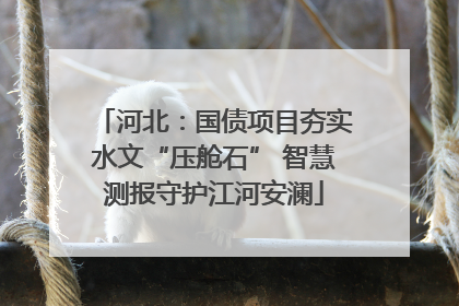 河北：国债项目夯实水文“压舱石” 智慧测报守护江河安澜