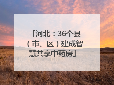 河北：36个县（市、区）建成智慧共享中药房