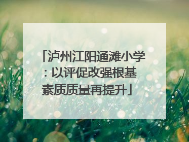 泸州江阳通滩小学：以评促改强根基 素质质量再提升