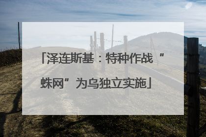 泽连斯基：特种作战“蛛网”为乌独立实施