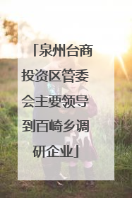 泉州台商投资区管委会主要领导到百崎乡调研企业