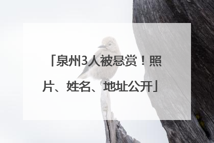 泉州3人被悬赏！照片、姓名、地址公开