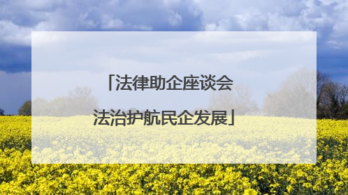 法律助企座谈会 法治护航民企发展