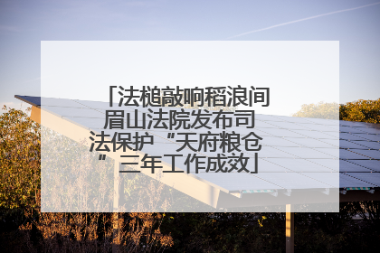 法槌敲响稻浪间 眉山法院发布司法保护“天府粮仓”三年工作成效