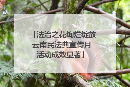 法治之花绚烂绽放 云南民法典宣传月活动成效显著