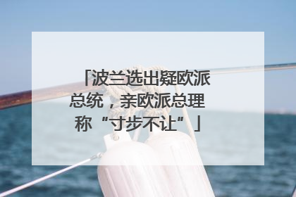 波兰选出疑欧派总统，亲欧派总理称“寸步不让”