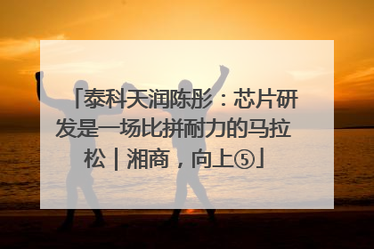 泰科天润陈彤：芯片研发是一场比拼耐力的马拉松｜湘商，向上⑤