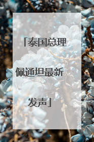 泰国总理佩通坦最新发声