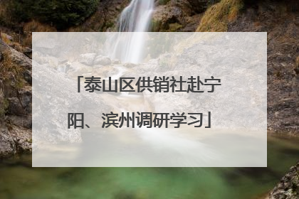 泰山区供销社赴宁阳、滨州调研学习