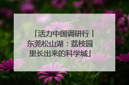 活力中国调研行丨东莞松山湖：荔枝园里长出来的科学城