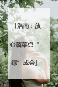 洛南：放心蔬菜点“绿”成金