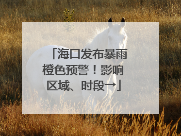 海口发布暴雨橙色预警！影响区域、时段→