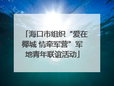 海口市组织“爱在椰城 情牵军营”军地青年联谊活动