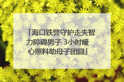 海口铁警守护走失智力障碍男子 3小时暖心照料助母子团圆