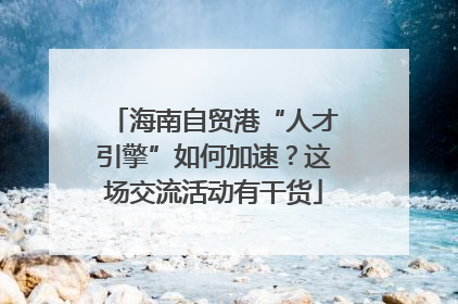 海南自贸港“人才引擎”如何加速？这场交流活动有干货