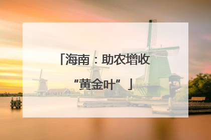 海南：助农增收 “黄金叶”
