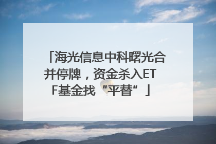 海光信息中科曙光合并停牌，资金杀入ETF基金找“平替”