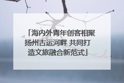 海内外青年创客相聚扬州古运河畔 共同打造文旅融合新范式