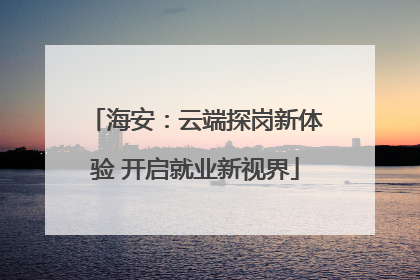 海安：云端探岗新体验 开启就业新视界