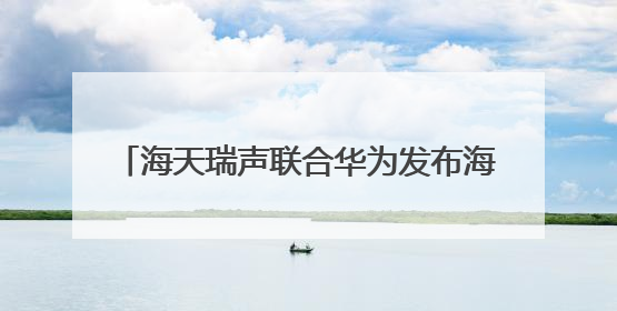 海天瑞声联合华为发布海天瑞声x昇腾DeepSeek数据飞轮智能体