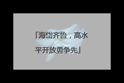 海岱齐鲁，高水平开放勇争先