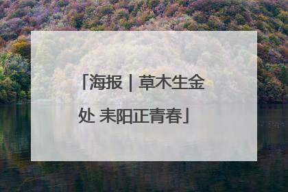 海报｜草木生金处 耒阳正青春