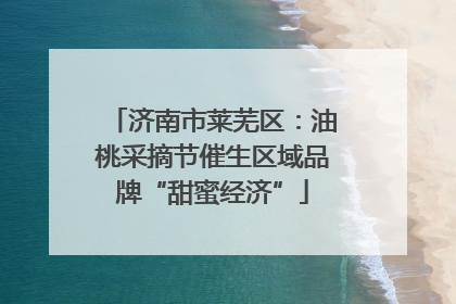 济南市莱芜区：油桃采摘节催生区域品牌“甜蜜经济”