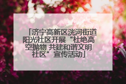 济宁高新区洸河街道阳光社区开展“杜绝高空抛物 共建和谐文明社区”宣传活动
