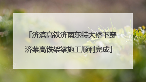 济滨高铁济南东特大桥下穿济莱高铁架梁施工顺利完成