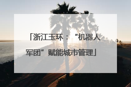浙江玉环：“机器人军团”赋能城市管理