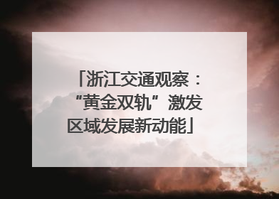浙江交通观察：“黄金双轨”激发区域发展新动能