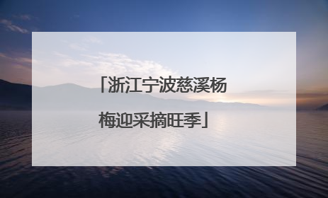 浙江宁波慈溪杨梅迎采摘旺季