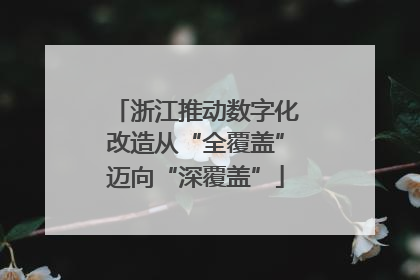 浙江推动数字化改造从“全覆盖”迈向“深覆盖”