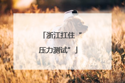 浙江扛住“压力测试”