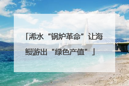 浠水“锅炉革命”让海鳗游出“绿色产值”