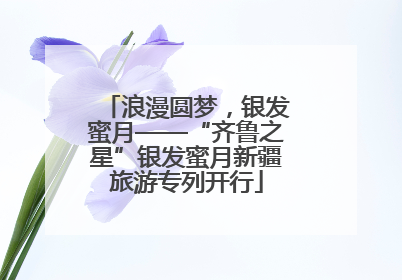 浪漫圆梦，银发蜜月——“齐鲁之星”银发蜜月新疆旅游专列开行