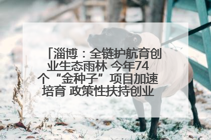淄博：全链护航育创业生态雨林 今年74个“金种子”项目加速培育 政策性扶持创业9754人
