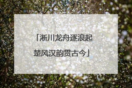 淅川龙舟逐浪起 楚风汉韵贯古今